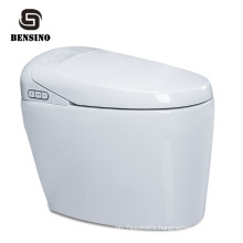 Automatic Cleaning Bidet Flush Smart Toilet,Integrated Intelligent Toilet